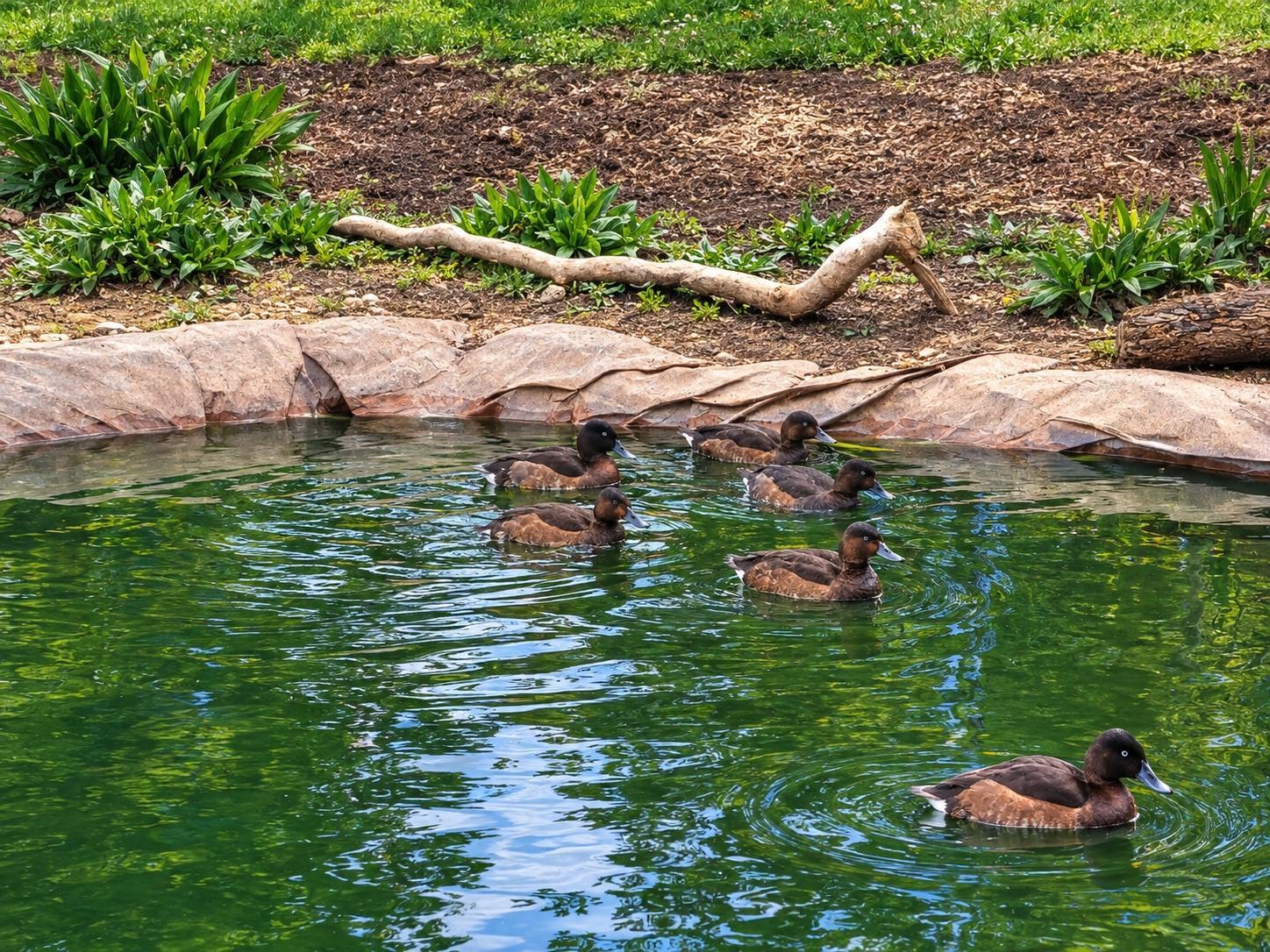 Why Conservation Matters - Our New Direction